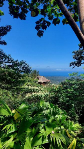Taorayiná nature lodge- immersed in the forest